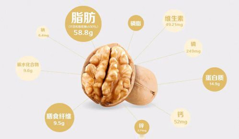 j9.com·(中国有限公司)官方网站