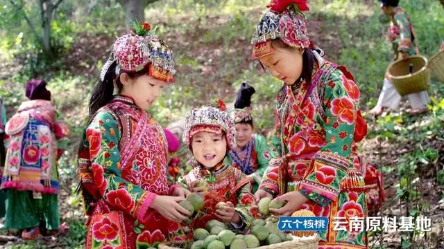j9.com·(中国有限公司)官方网站
